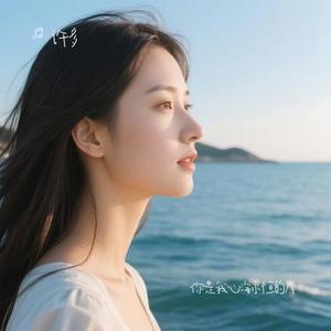 你是我心海永恒的岸