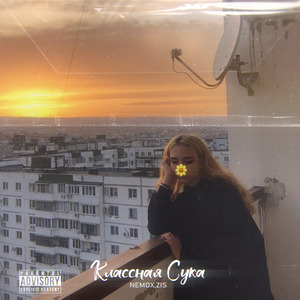 Классная cука