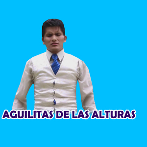 AGUILITAS DE LAS ALTURAS