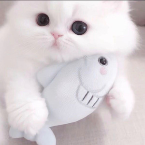 其实我们根本不顺路 只是我太想跟你走