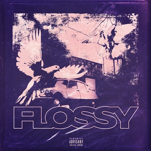 Flossy