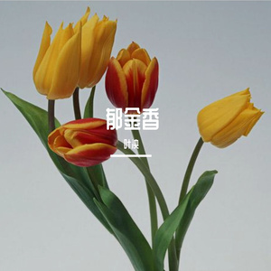 郁金香-整曲 伴奏