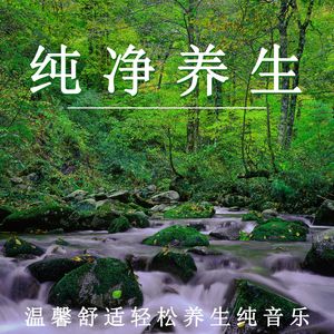 舒适轻松养生（钢琴）