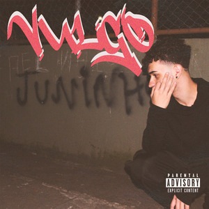Vulgo Juninho