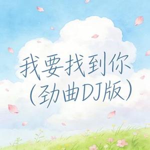 我要找到你（DJ版）