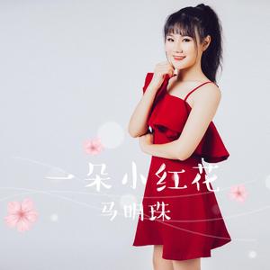 一朵小红花
