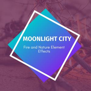 Watching In Mother Natures Eyes