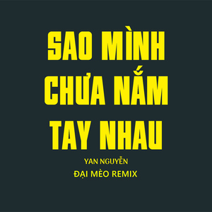 Sao Mình Chưa Nắm Tay Nhau (Đại Mèo Remix Beat)