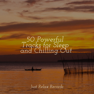 Sparkling Sunbeams Serenade