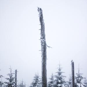 春雪填了浅沼（Prod.by WarZonZ）