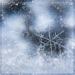 Cold (Woah) (feat. Emango & Ghosty G1)