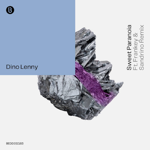 Sweet Paranoia (Frankey & Sandrino Dub Remix)
