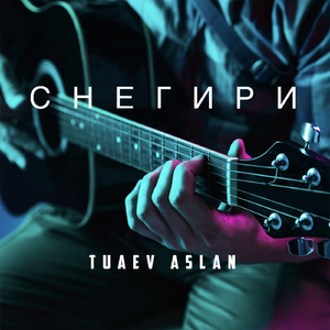 Снегири
