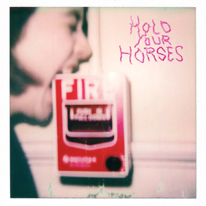 Hold Your Horses