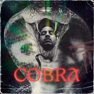 Cobra