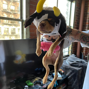 soulja girl (feat. tommy ice)