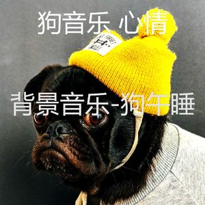 音乐-狗午睡