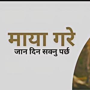 Maya gare (के फूल आफ्नै प्रकारले)