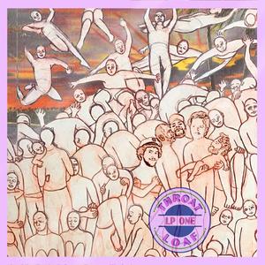 Democracy Killed My Cat