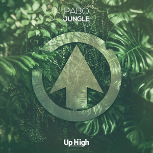 Jungle (Original Mix)