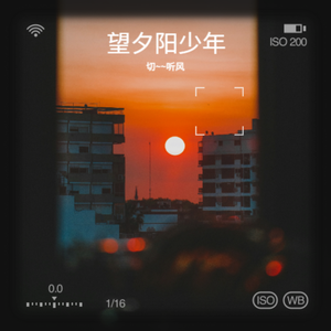 望夕阳少年