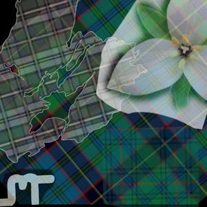 Lord Binning's Reel / Fortingall Fairs / Glenburnie Rant