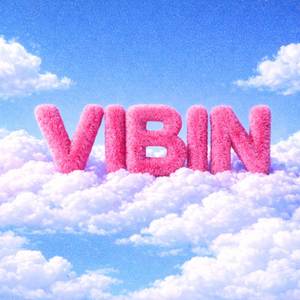 VIBIN