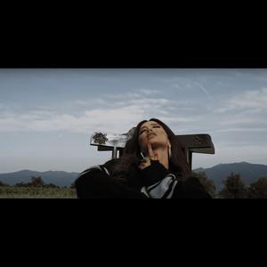 My Love (Remix) (feat. Dafina Zeqiri) (Radio Edit)