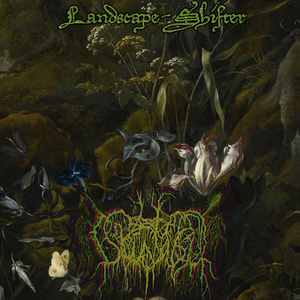 Night on Wizards Mountain