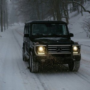 Whip