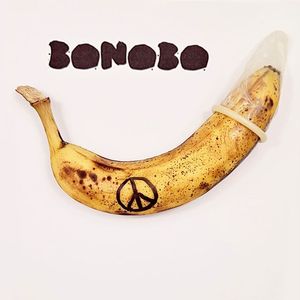 Bonobo