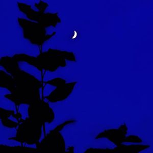 雪飘在七月里-bb小静静呀