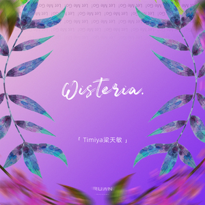 紫藤花 (Wisteria)
