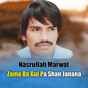 Zama Da Gul Pa Shan Janana