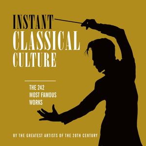 Concerto 01 for violin and orchestra: allegro ma non tanto