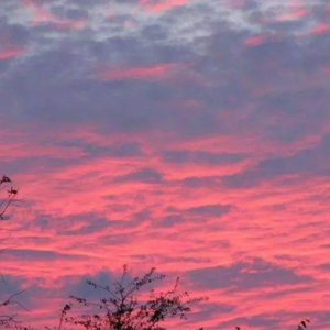 【FREE】“璀璨星空” Emo Type Beat