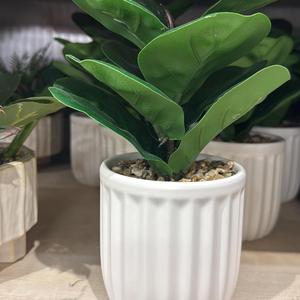 The Hope of Abdul-Bahai(remake 2026)