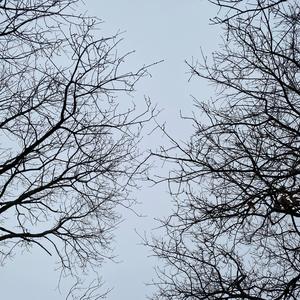 Just a Dub (feat. Sombody)