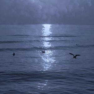 Collapsing World（翻自 Lightscape）