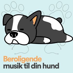 Beroligende musik til din hund, Pt. 20