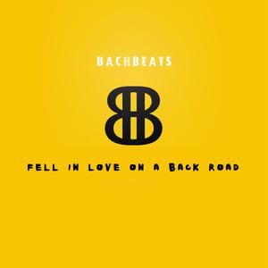 Fell In Love On A Back Road