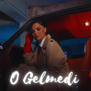 O Gelmedi