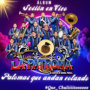 Palomas que andan volando