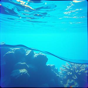 Dawn of the Timeless Tide