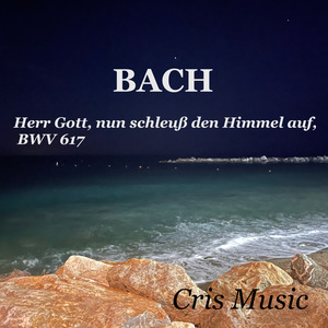 Bach: Das Orgel-Büchlein, BWV 599-644: Epiphany (Feast of the Purification): 19. Herr Gott, nun schleuß den Himmel auf, BWV 617