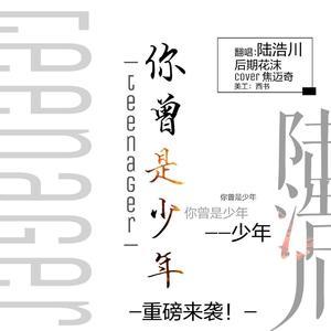 你曾是少年