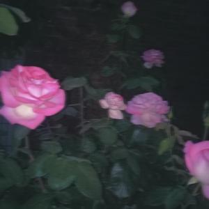 阿特金森Atkinson