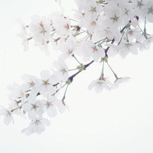 희재（Cover）live