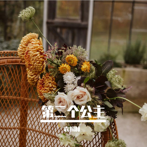 第二个公主（prod by XVIBE）