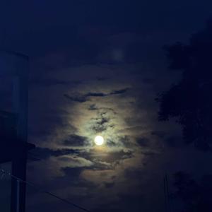 কালসাপিনী ধরতে গেলাম সাহসের জোরে